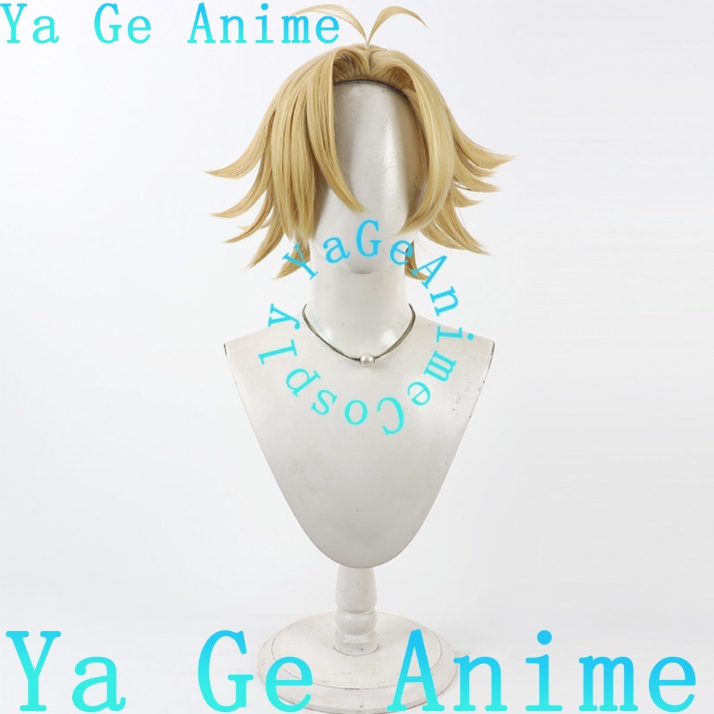 Perruque de cosplay Tougen Ank - Men Accessories Look avis et prix