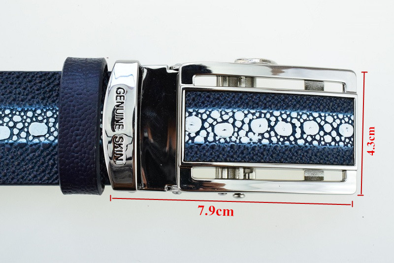 SIZOC S25B811 ceinture classiq - Men Accessories Look avis et prix